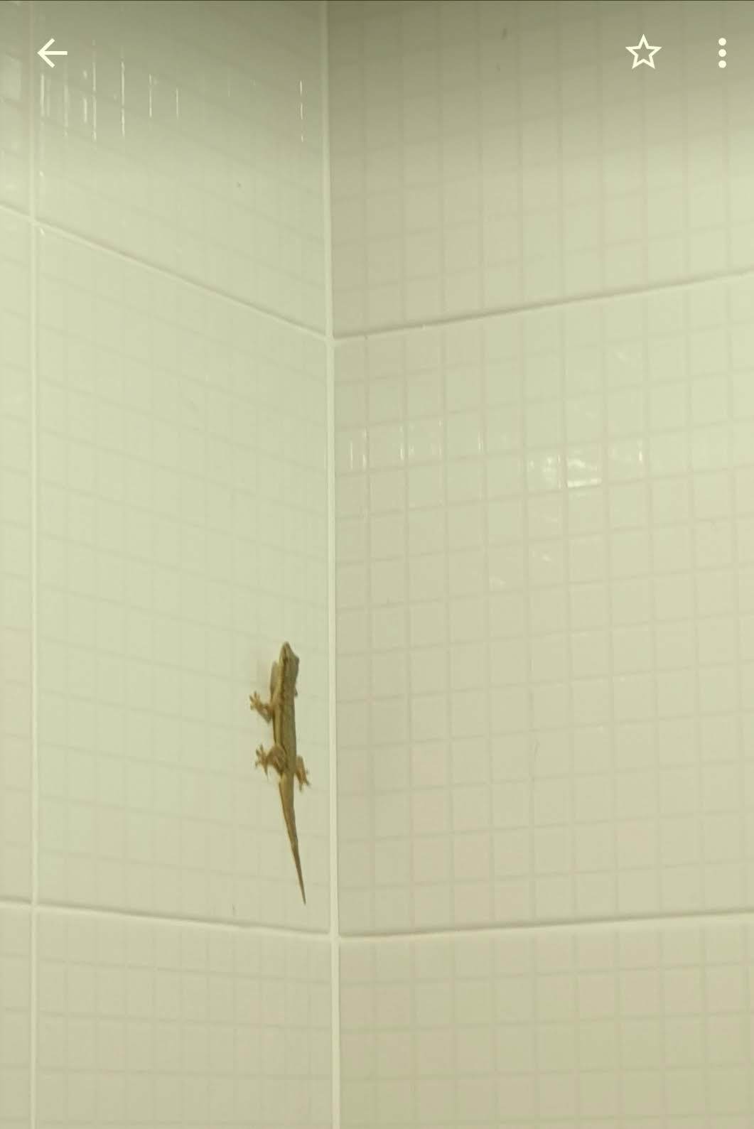 Screenshot_20191117-215149_Photos (1).jpg