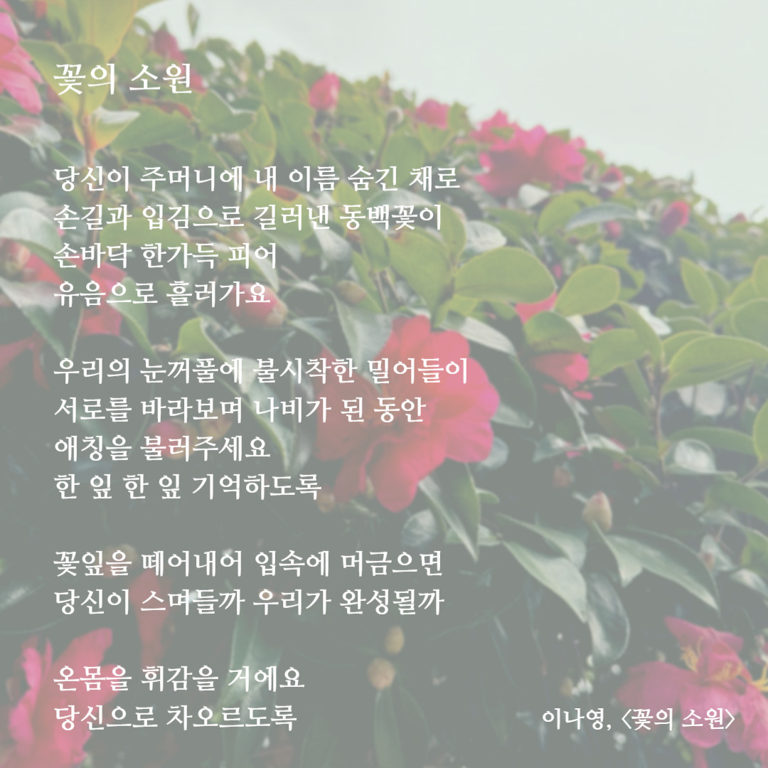 꽃의 소원.jpg