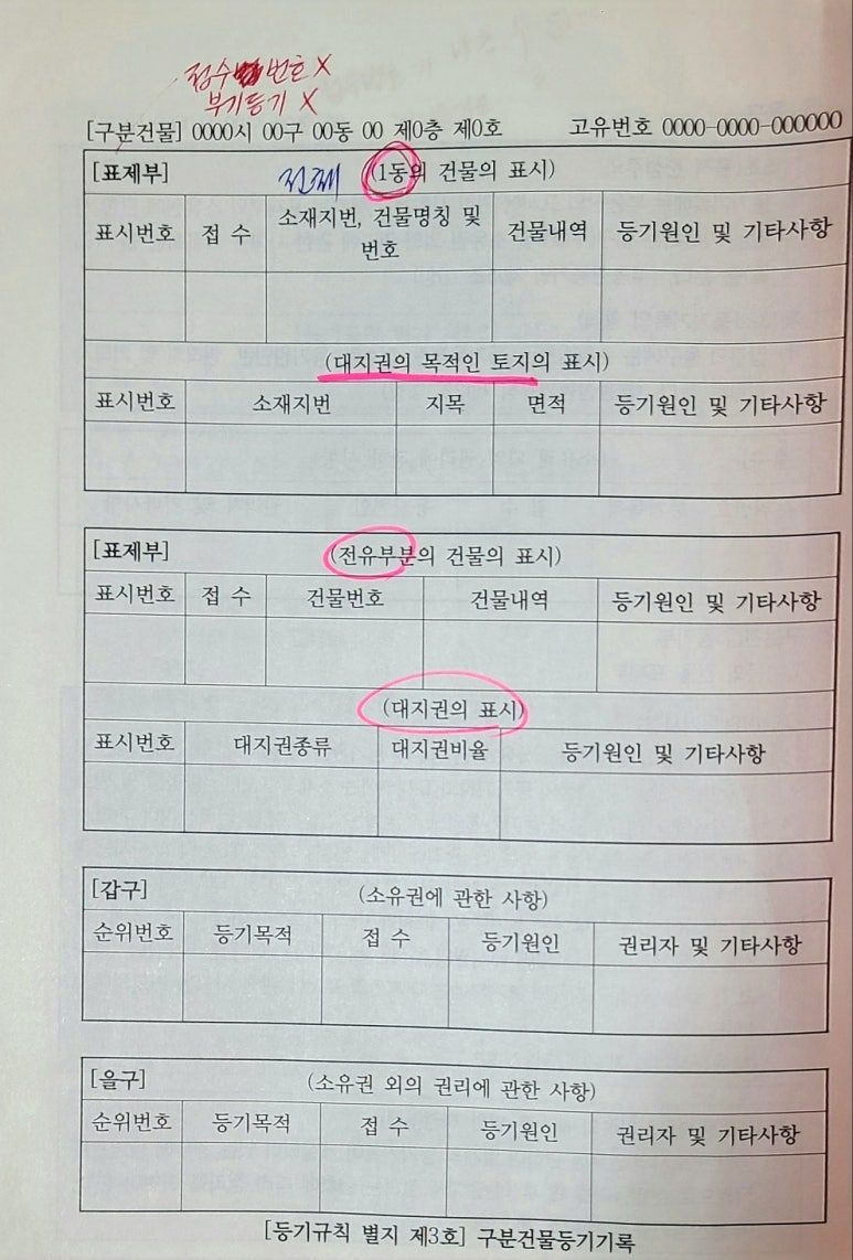 KakaoTalk_20250319_000731075 (2).jpg