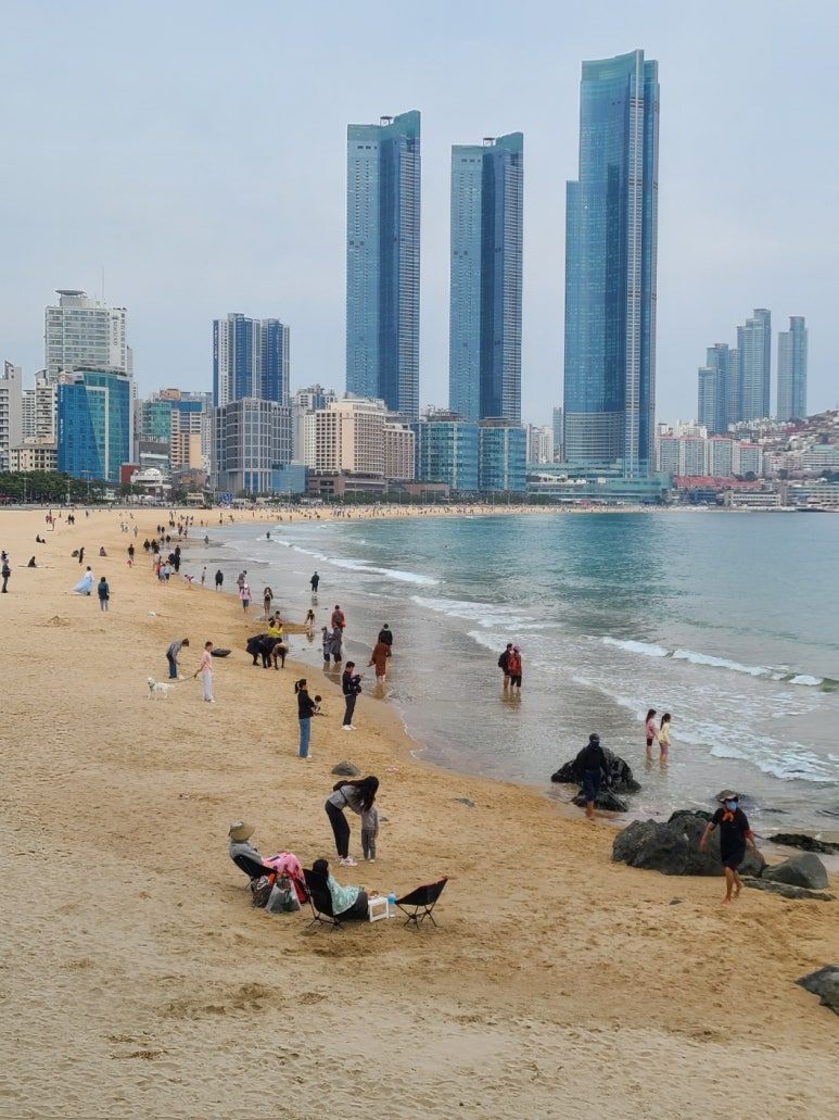 KakaoTalk_20240409_094238822_13 (1).jpg