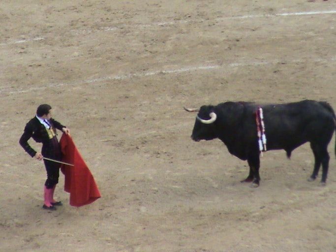 다운로드 (15).jpg