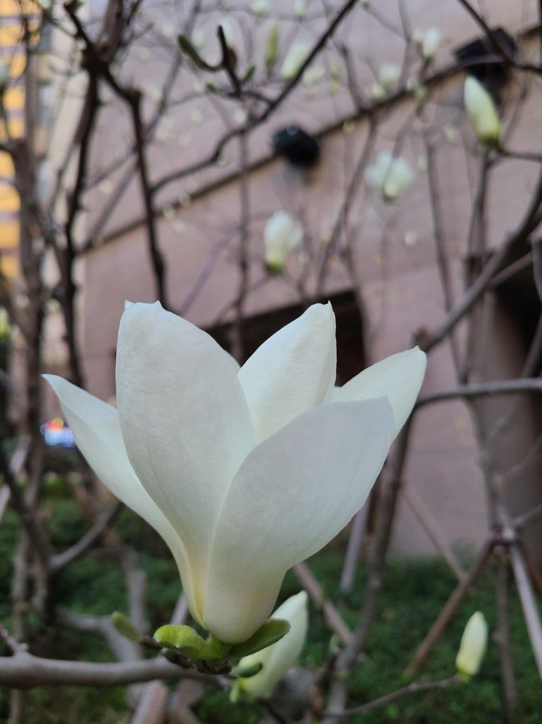 KakaoTalk_20240402_135443590_03 (1).jpg