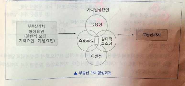 KakaoTalk_20241226_232528946 (1).jpg