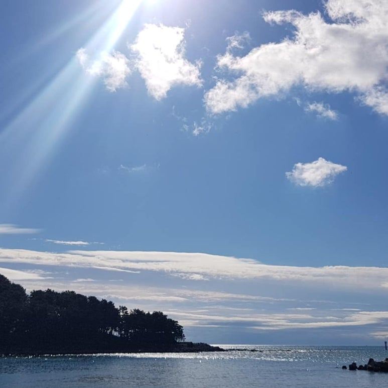 KakaoTalk_20240709_131346287_23 (1).jpg