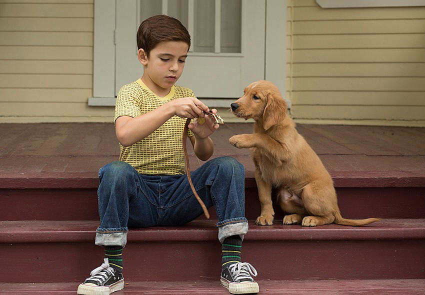 movie_image (14).jpg