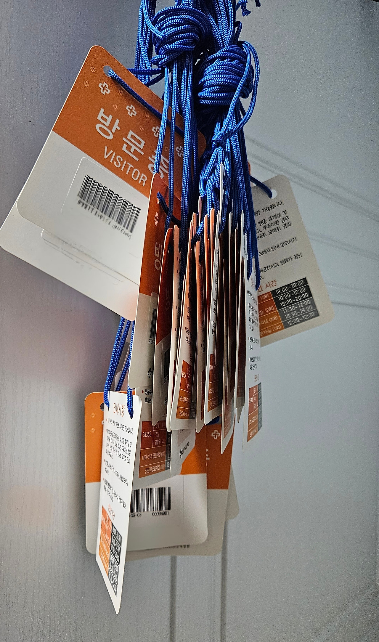 20250130_151007 (1).jpg