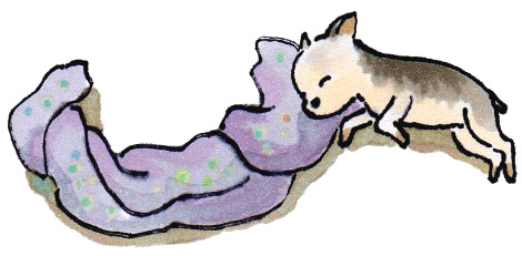 1 제리 또아리 엉터리.jpg