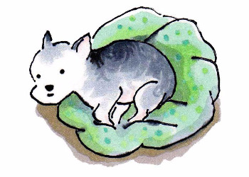 1 톰 또아리 작은 폭.jpg