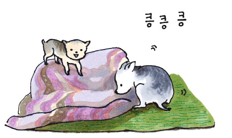 1 여긴가 복사.jpg