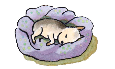 1 제리 또아리.jpg