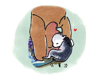 1 물구나무 찰싹.jpg