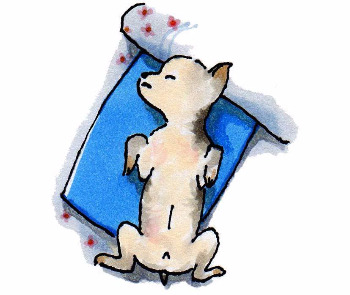 1효자손 제리.jpg