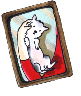 b 배 보이는 톰.jpg