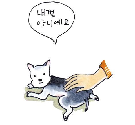 -누구꺼.jpg