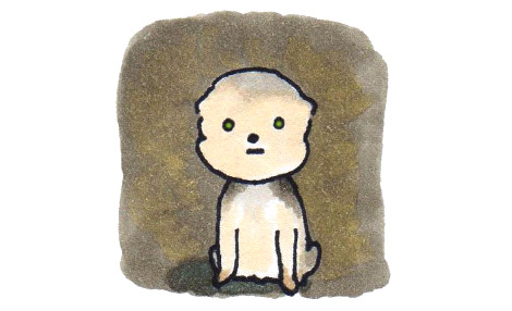 - 잠 제리 연두.jpg