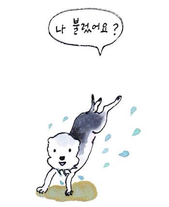 -물먹는 강아지.jpg