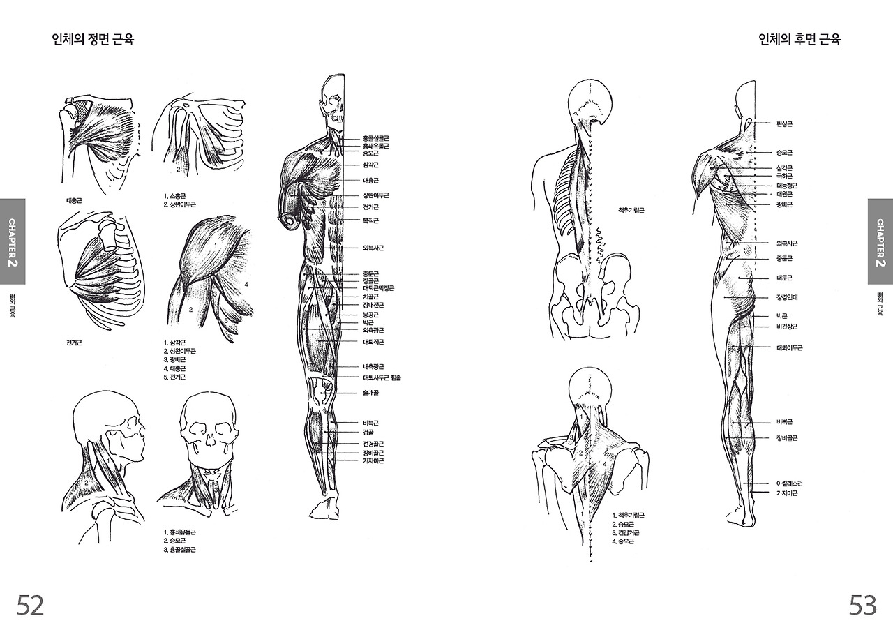 인체드로잉 52-53.jpg