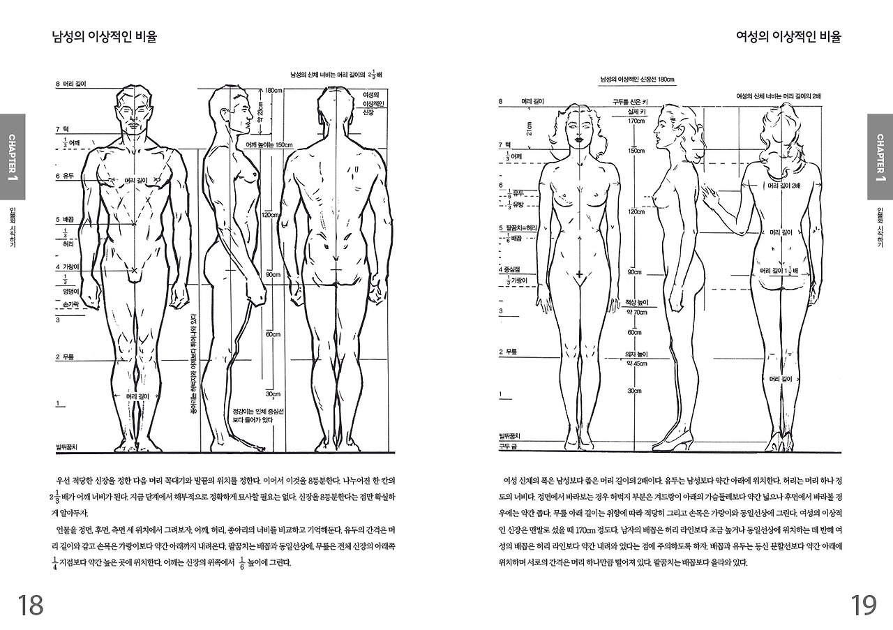 인체드로잉 18-19.jpg