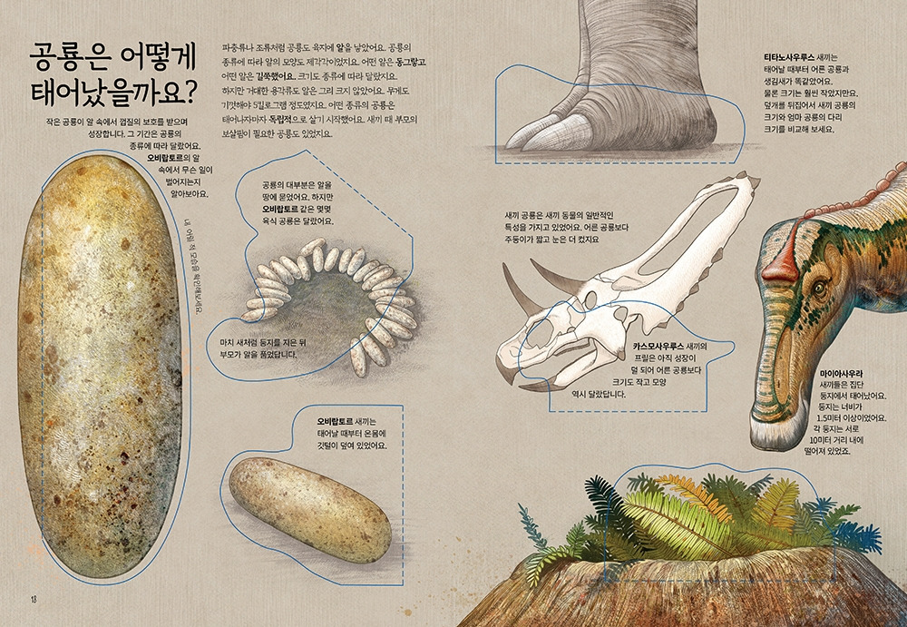 숨겨진 곤충_본문 38-39.jpg