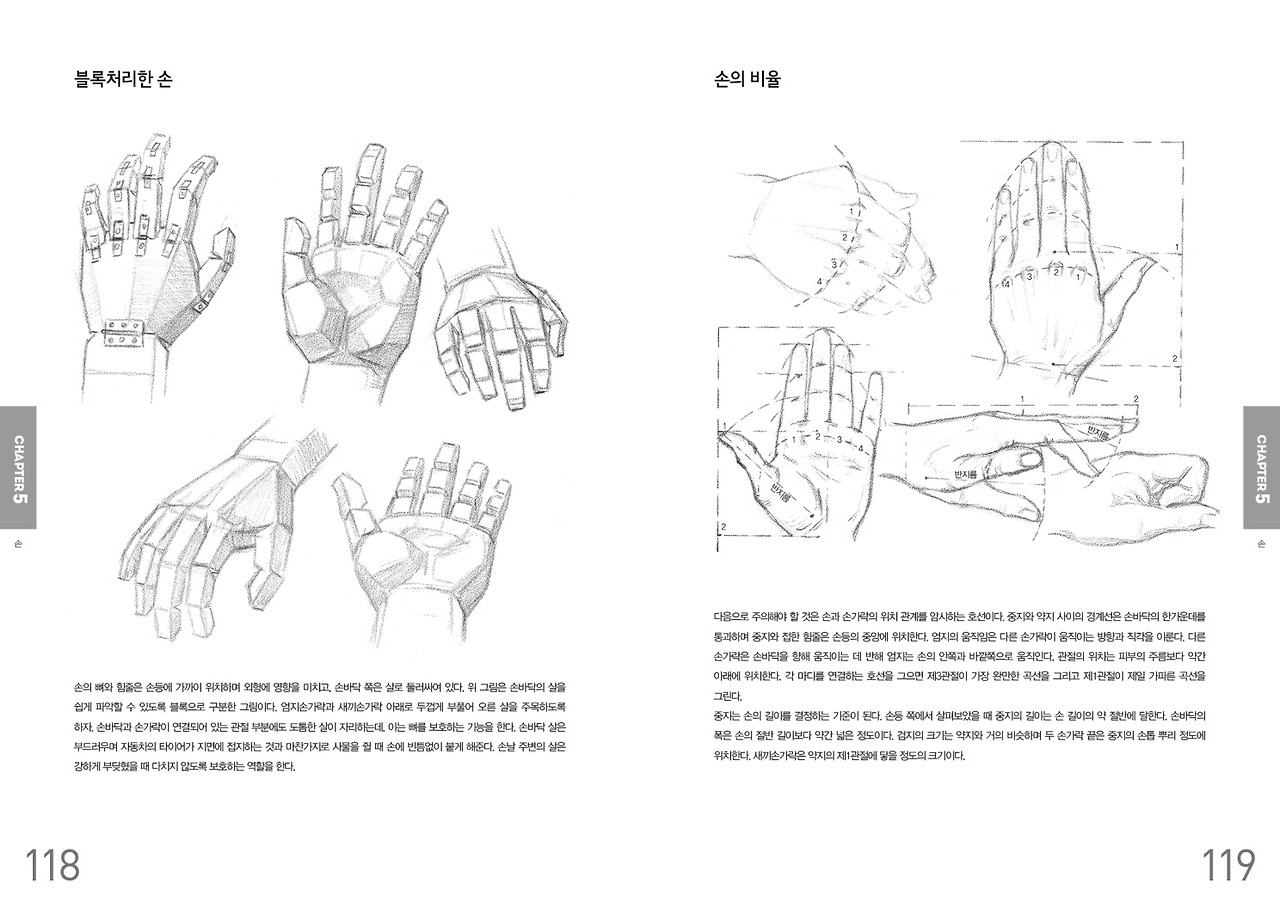 크기변환_두상과 손 드로잉 118-119.jpg