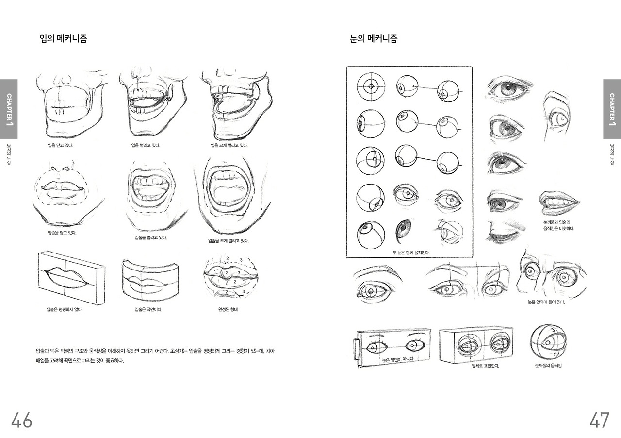 크기변환_두상과 손 드로잉 46-47.jpg