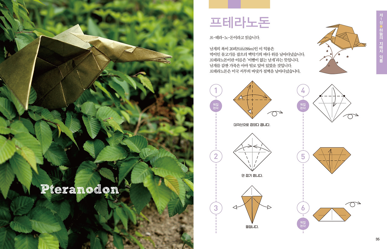 공룡종이접기34-35.jpg