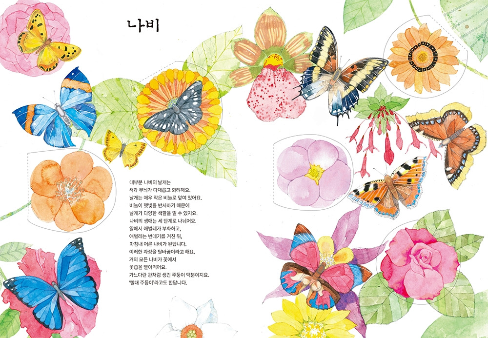 숨겨진 곤충_본문 22-23.jpg