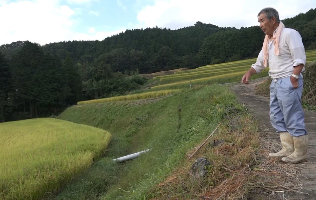 논을 설명하는 할아버지.jpg