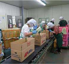 다운로드 (6).jpg