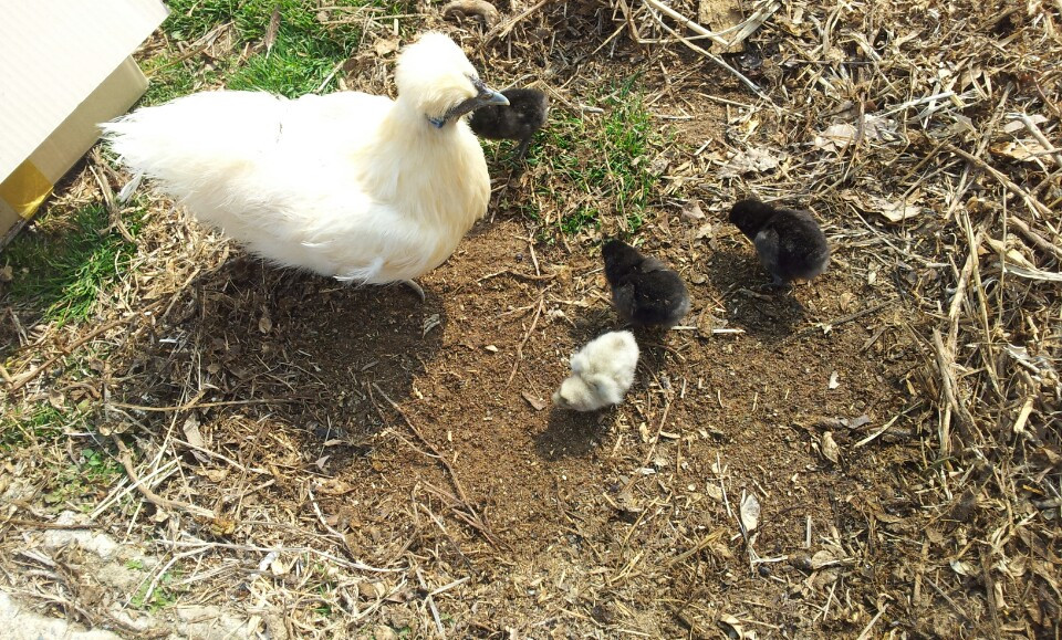 강진 이두희_20151213_203404057.jpg