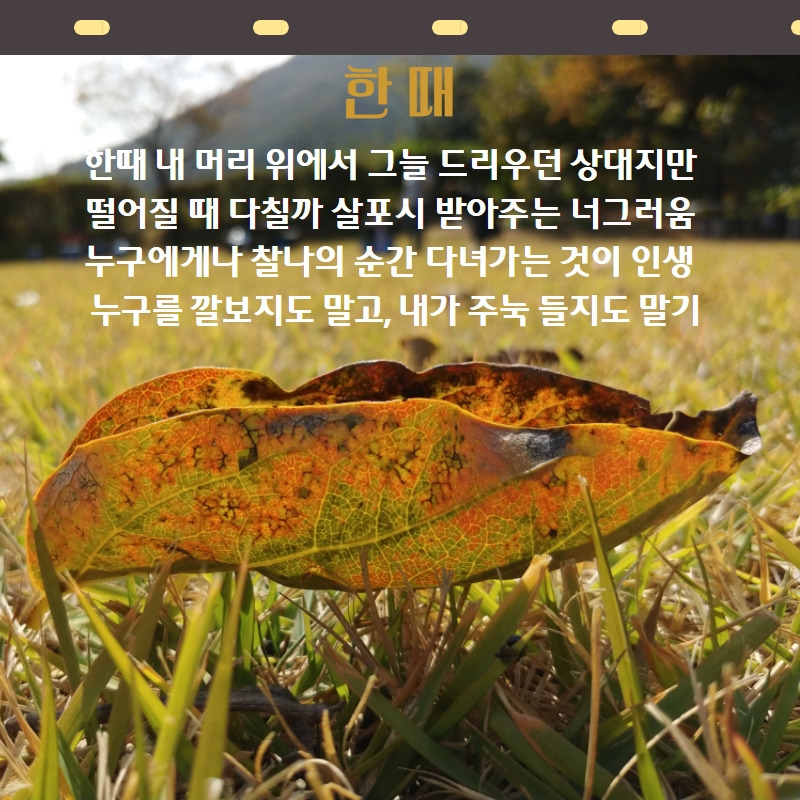 자작시-2 3.jpg