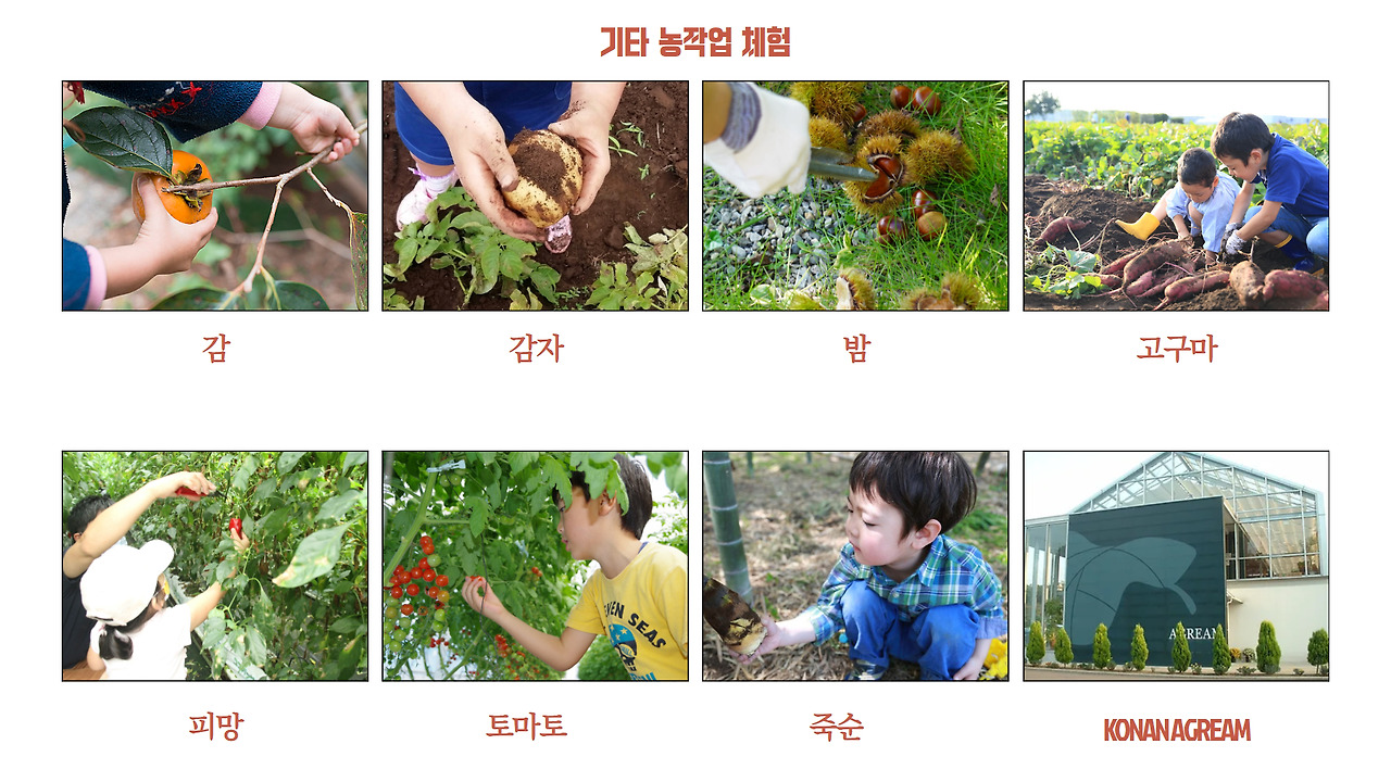 농작업 체험.jpg