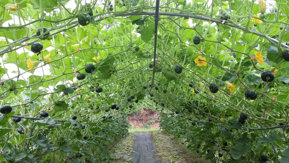 강진 이두희20151213_201725543.jpg