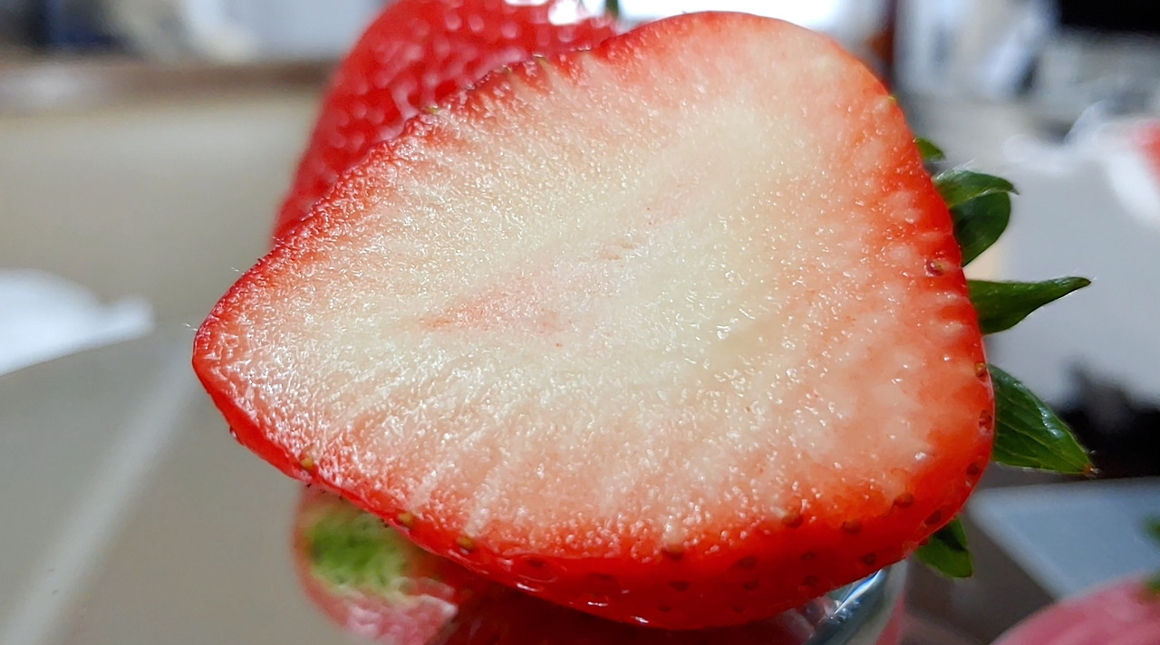 제목 없음-14.jpg