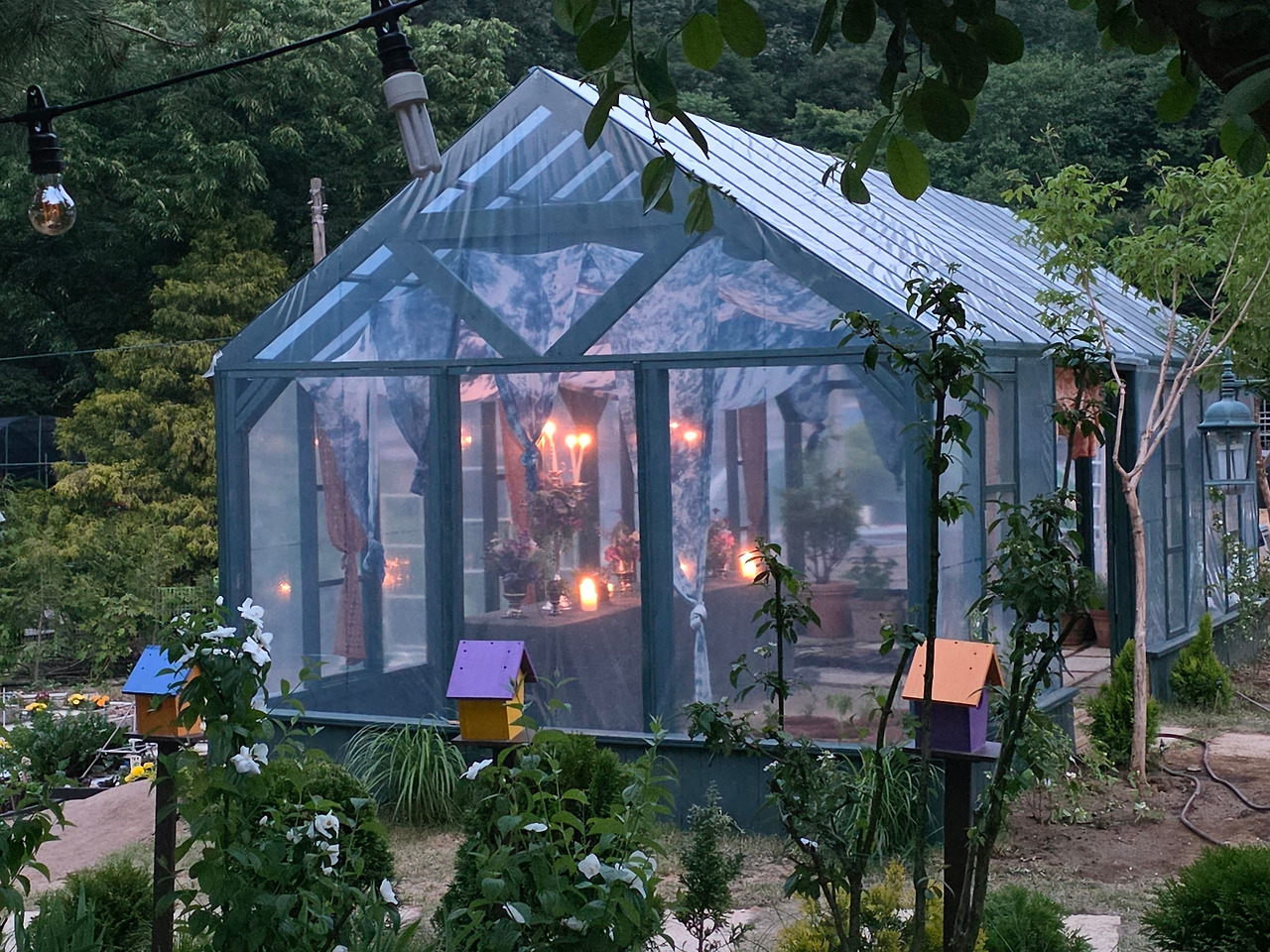 20250601_195631 - 복사본 - 복사본.jpg