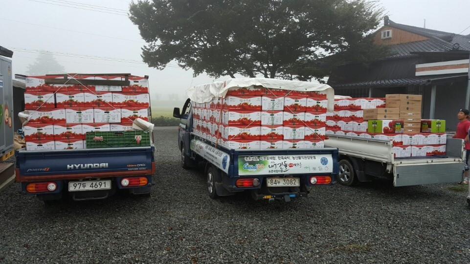 사과 판매 (2015~   90% 직판)2.jpg