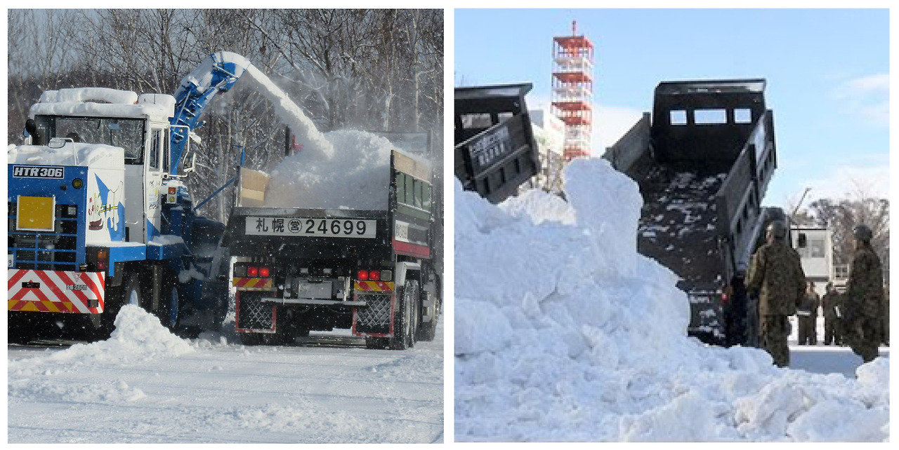 눈 채집과 운반.jpg