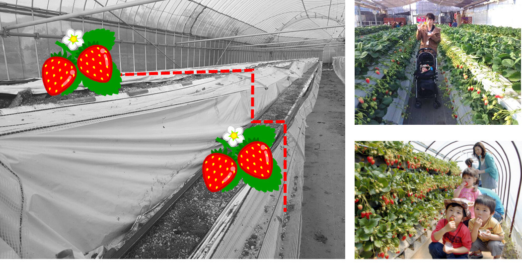 2단 체험베드.jpg