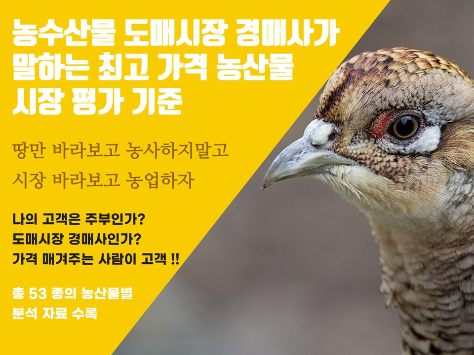 최고가격 농산물 시장평가 기준-20181129.jpg