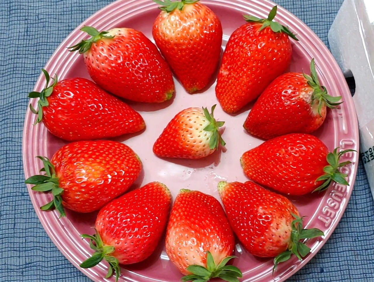 제목 없음-15.jpg