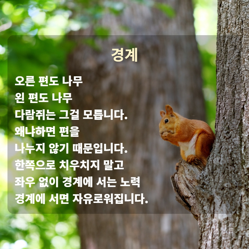 자작시-1 9.jpg