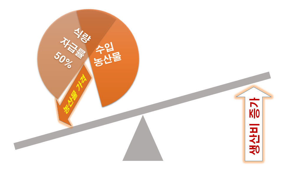 농산물가격 하락.jpg