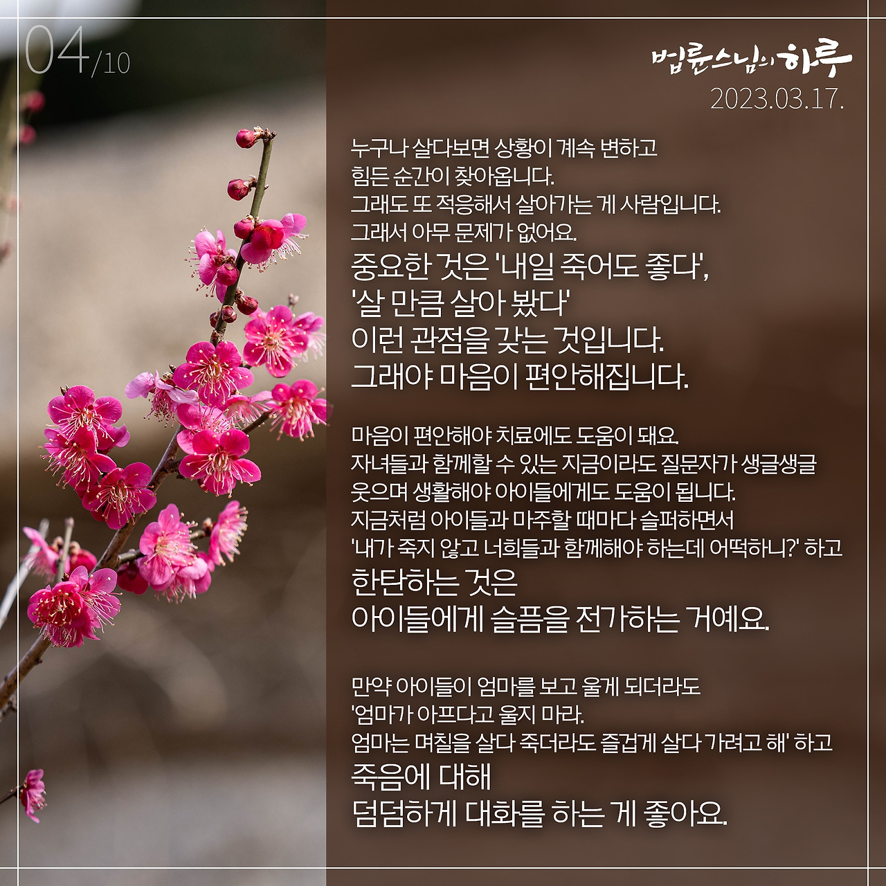 스하카드0317-04.jpg