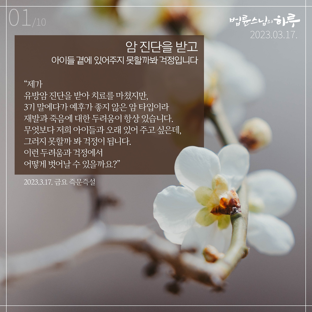 스하카드0317-01.jpg