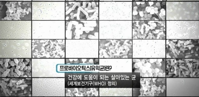 프로바이오틱스.jpg