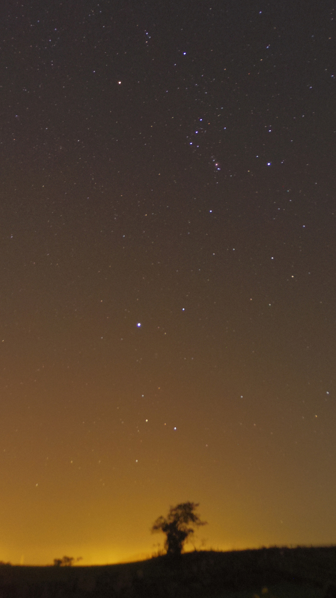 다운로드 (1).jpg