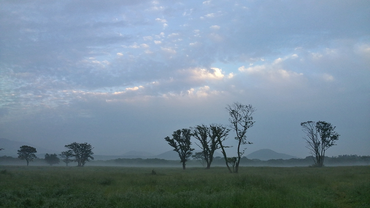 다운로드 (8).jpg