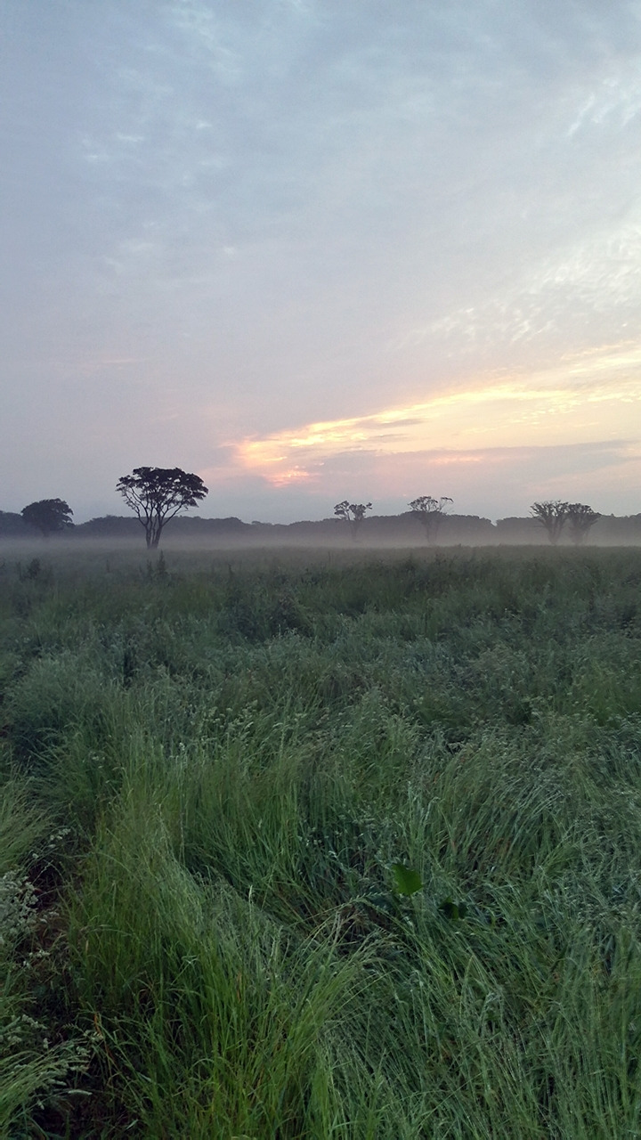 다운로드 (7).jpg