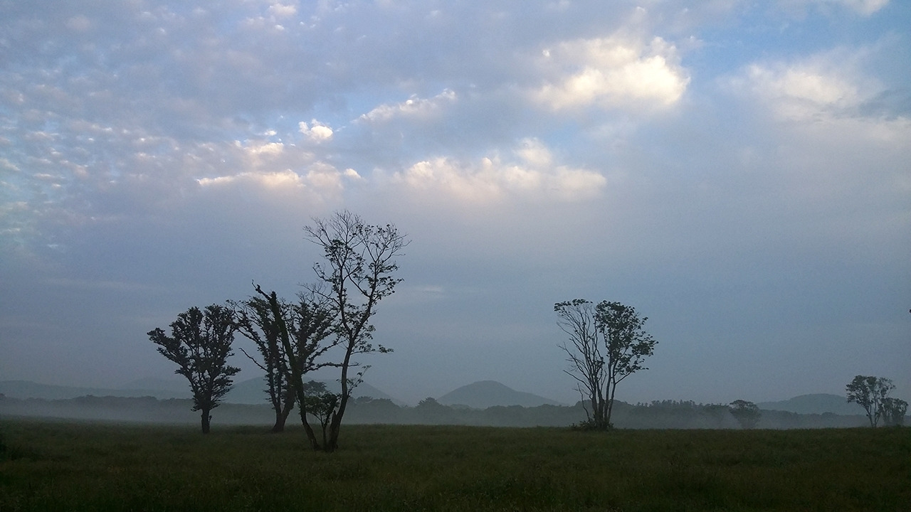 다운로드 (10).jpg