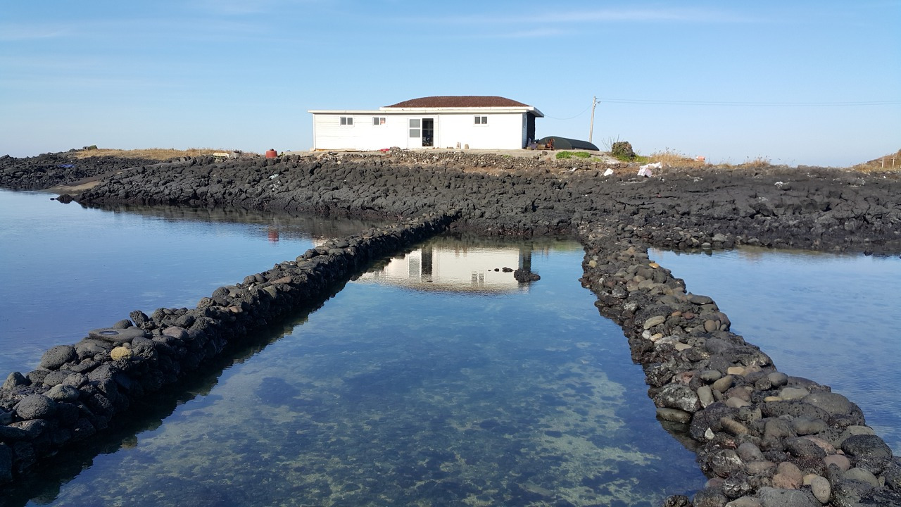 다운로드 (1).jpg